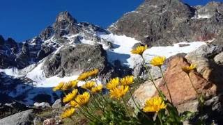 Wunderbare Bergwelt  Westliche Plattenspitze [upl. by Oknuj]