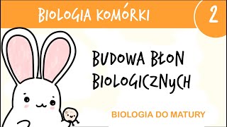 Cytologia 2  Budowa błon biologicznych błony komórkowe  biologia liceum poziom rozszerzony matura [upl. by Gow156]