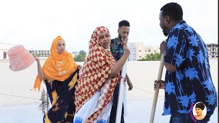 SHORT FILM QOSOL BADAN REER DUDAAYE SHAADIYO SHARAF amp NINKEED OO LAGU SOO DUULAY QOSOLKA ADUUNKA [upl. by Nakashima296]