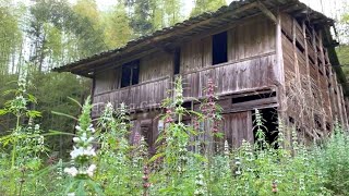 A poor girl clears Weeds and Renovates Her old house  She will live in the Forest [upl. by Fosque]