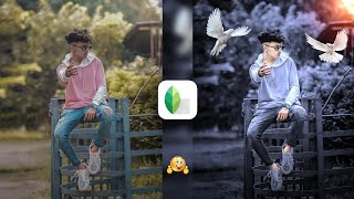 Snapseed Grey And Bird Effect Photo Editing Tricks 🔥  Snapseed Background Colour Change Tutorial [upl. by Eylrac187]