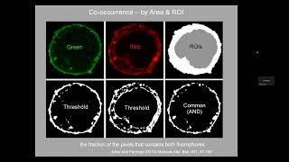 20240213  Colocalization lecture and workshop [upl. by Davon]