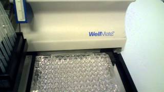 Thermo Matrix Wellmate 8Channel Microplate Dispenser 96384 Well Plates  6068 [upl. by Llerud]