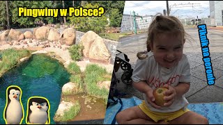 VLOG Wrocław Finał Euro 2024 Wrocławskie Zoo i Aquapark Spotkaliśmy pingwiny [upl. by Peppie]