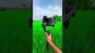 Camera amp gimbal camera nikon gimbal photography videoediting cameraman cameraviệtnam [upl. by Milburt765]