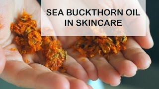 Sea Buckthorn Oil Benefits for Skin  Sea Buckthorn Oil in Skincare [upl. by Senoj148]