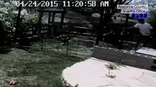 Watch Man caught pepper spraying dogs in yard [upl. by Trixie]