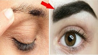 सिर्फ 3 दिन रात में इसे लगालो Eyebrows इतनी घनी ओर लम्बी हो जाएगी Easy Ways to Grow Thick Eyebrows [upl. by Ellak895]