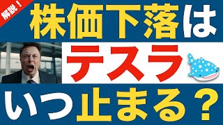 【いつテスラ株価の下落は止まるのか？】テスラ株の現状と今後について徹底解説！ [upl. by Herson]