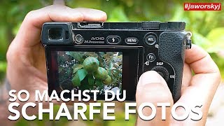 SCHARF STELLEN 📷 So FOKUSSIERST du RICHTIG  Fotografieren lernen [upl. by Rimat]