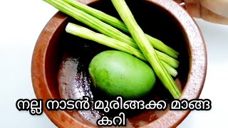 മുരിങ്ങക്ക മാങ്ങ കറി  muringakka manga curry kerala style  drumstick mango curry kerala style [upl. by Ennayram507]