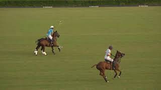 Final Copa de Oro 2024 Mediano  Electric Polo vs Amanara [upl. by Kulseth]