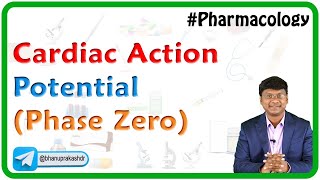 Cardiac Action Potential Phase Zero [upl. by Anela163]