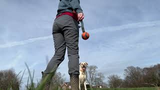 Steadiness training with Finn [upl. by Eigla]