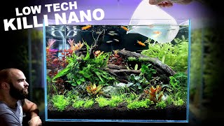 Nano Tank Tutorial LOW TECH Killifish Aquascape [upl. by Lednor]