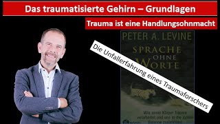 Trauma ist eine Handlungsohnmacht  Lesung Peter Levine [upl. by Gentes723]