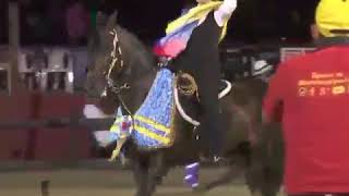 Yegua de Paso Fino Yumalay de Potrero Chico es la gran campeona Aruba 2015 [upl. by Anerda]