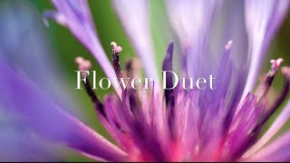 Flower Duet  Léo Delibes Violin Version [upl. by Grefer]