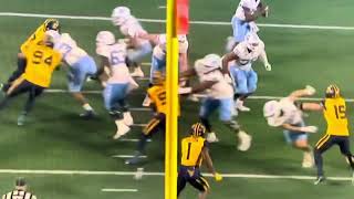 WVU Linebacker Tyrin Bradley  One  handed Incredible Interception  2023 Dukes Mayo Bowl [upl. by Erret171]