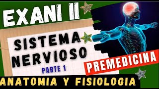 PREMEDICINA  EXANI II  SISTEMA NERVIOSO 👩‍⚕️🔔 clase 12 [upl. by Fairman595]