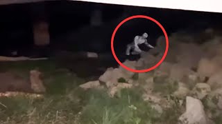 The Most Mysterious Creatures Caught On camera  Scary Comp V19 [upl. by Enomor427]