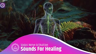 Sounds For Healing Vagus Nerve Activation Reduce Inflammation Anxiety Depression  Improve Sleep [upl. by Neimad]