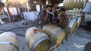 Vine to Wine Winemaking at Naggiar Vineyards [upl. by Duester]