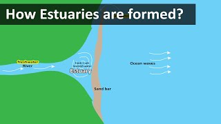 How Estuaries are formed  Coastal Estuary sandbar  Geography terms [upl. by Eilujna]