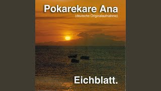 Pokarekare Ana Instrumental [upl. by Ttennaej159]