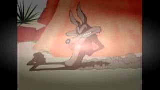 Wile E Coyote and The Road Runner episode 110 [upl. by Nellak]