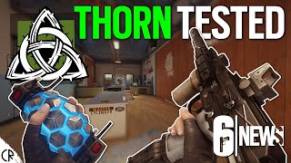 Thorn Gameplay amp New Gun Recoil Tested  High Calibre  6News  Rainbow Six Siege [upl. by Naitsabes888]