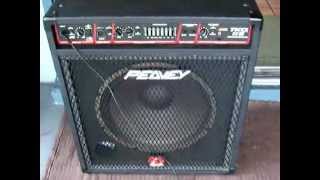 Peavey Amp 115 Combo Bass [upl. by Nnaasil]