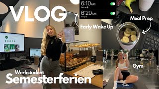 Vlog  6am morning routine  Semesterferien  werkstudent  worklife balance [upl. by Mccreery]