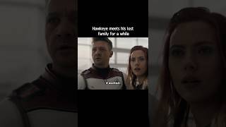 Hawkeye meets his lost family for a while  Avengers 4 [upl. by Taryne]