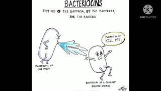 Can Bacteriocins replace Antibiotics [upl. by Aurelie]