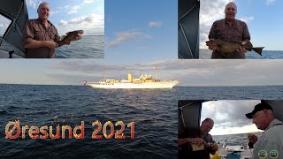 Nordre Røse Øresund Torsk juli 2021 [upl. by Tedmund]