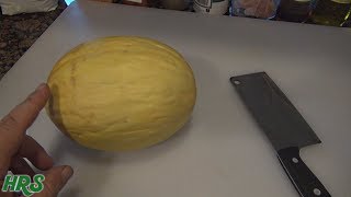 ⟹ Canary Melon  Cucumis melo L  Fruit Review [upl. by Neelrac]