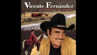 VICENTE FERNANDEZ ÉXITOS VOL 1 FULL AUDIO [upl. by Foushee890]