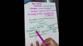 Plant pigments carotenoidscariotene xanthophyll class11 Neetstudy [upl. by Eceertal193]