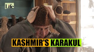 Kashmirs Karakuli [upl. by Claire]