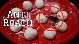 How To Kill Cockroaches Within 5 Minutes Using 3 Simple Ingredients [upl. by Einhapets]