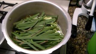 Oil Extraction from Herbs with DIY Kitchen Still [upl. by Dacie306]