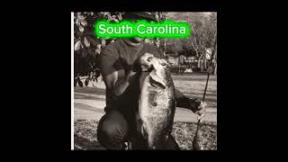 Biggest bass caught in each state [upl. by Minna]