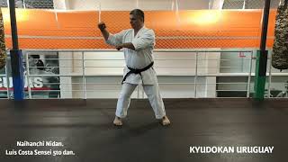 Kata NAIHANCHI Nidan SHORINRYU KYUDOKAN [upl. by Brandie]