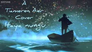 Ao Song  Tiameren  Ni Na Meimer Temulongjang Agi COVER Lyrics Video [upl. by Llehsyt]