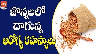 Health Benefits Of Jowar  Jonnalu  Nutrition Facts  Health Tips In Telugu  YOYO TV Health [upl. by Jeramey458]