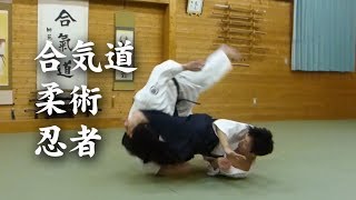 合気道と柔術amp忍者 AikidoampJiuJitsuampNinja techniques [upl. by Leoj126]