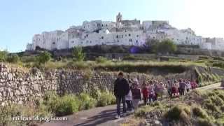 Escursione verso il grande ulivo millenario Ostuni [upl. by Ecinereb]