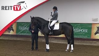 Das Pferd richtig warm machen  Jean Bemelmans in Hannover Teil 1a  Die Alten Meister [upl. by Redna131]