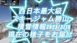 スキージャム勝山（2023  3月15日現在の積雪情報）スキージャム勝山 東急リゾート [upl. by Cheyne]